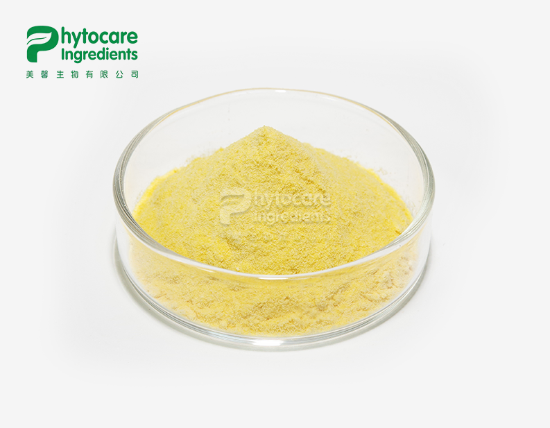 Mango Powder